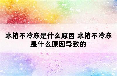 冰箱不冷冻是什么原因 冰箱不冷冻是什么原因导致的